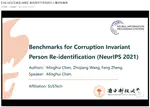 Corruption Invariant Person Re-Identification